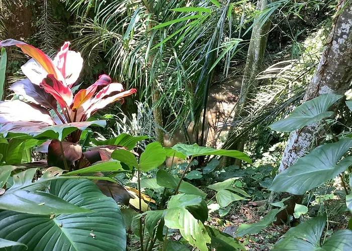Jungle Hideaway 3 - River Backyard Villa