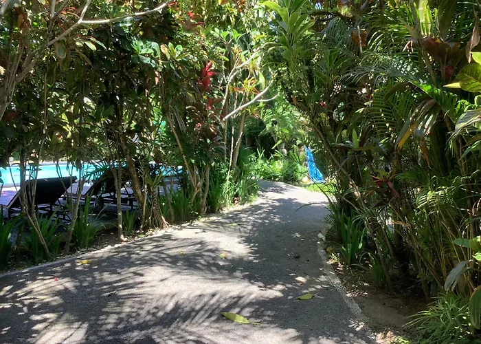 Villa Jungle Hideaway 3 - River Backyard