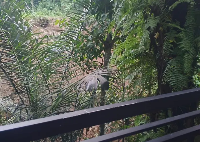 Jungle Hideaway 3 - River Backyard Villa