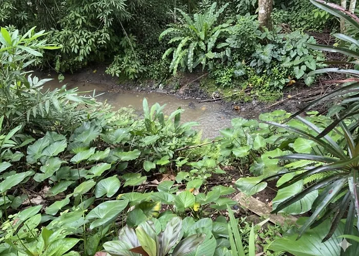 Jungle Hideaway 3 - River Backyard * Ubud