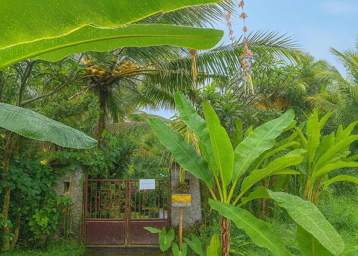 Jungle Hideaway 3 - River Backyard *