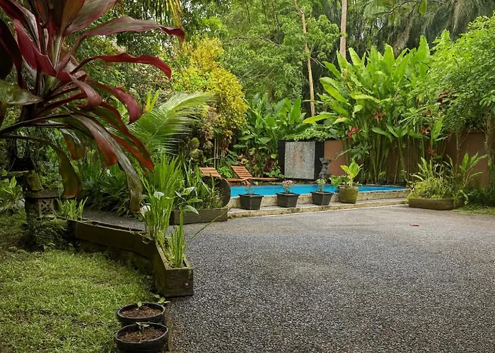 Jungle Hideaway 3 - River Backyard Villa