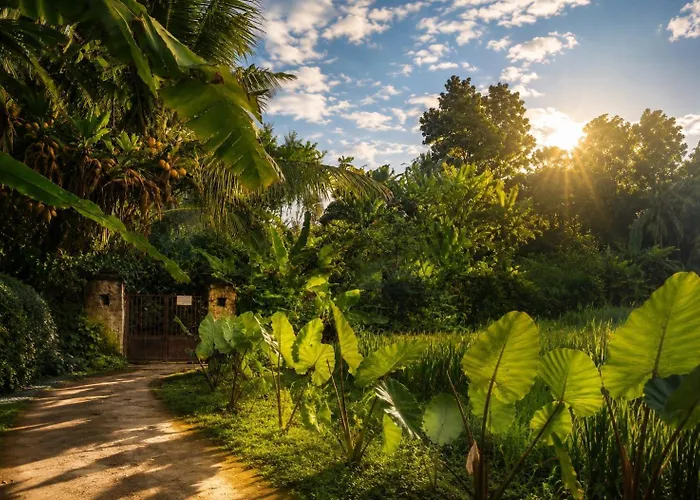 Jungle Hideaway 3 - River Backyard Villa